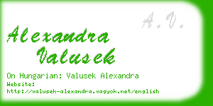 alexandra valusek business card